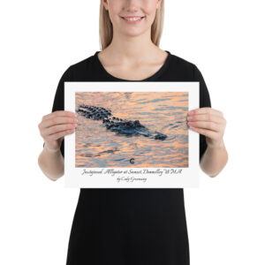 Juxtaposed Poster (unframed)