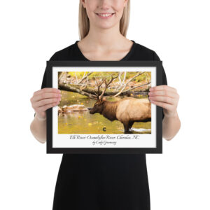 Elk River Poster (framed)