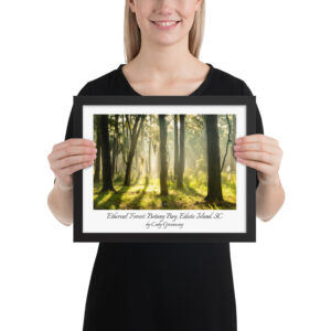 Ethereal Forest Poster (framed)