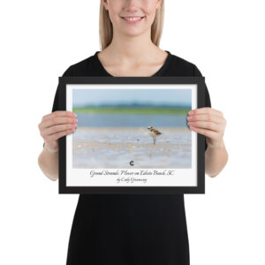 Grand Strands Poster (framed)