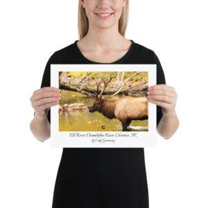 Elk River Poster (unframed)
