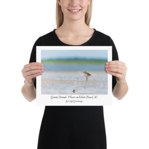 Grand Strands Poster (unframed)